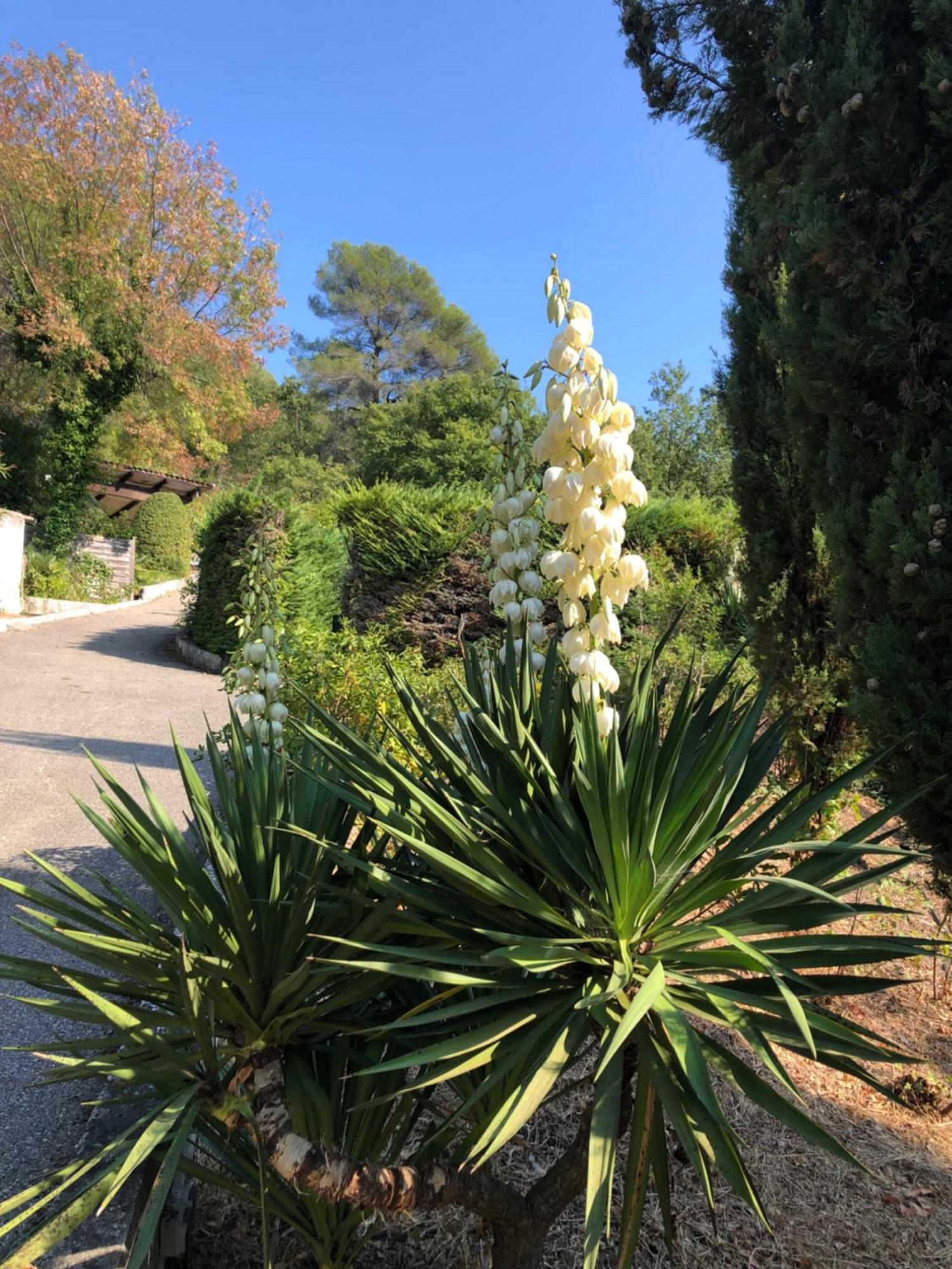 Villa Domaine Double D à Cagnes-sur-Mer Extérieur photo